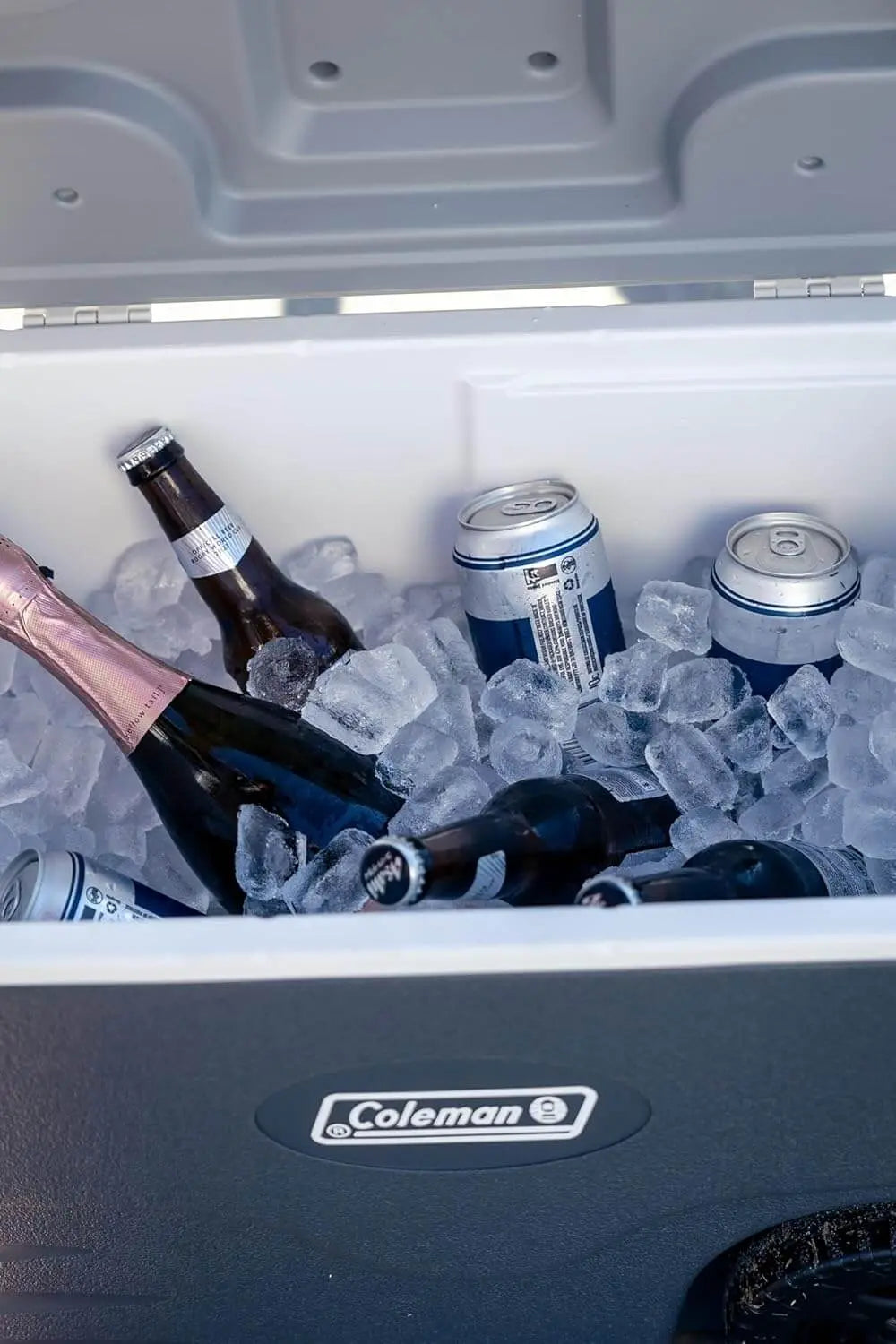 Coleman Daintree 38L Wheeled Hard Cooler - Shop  Hard-sided Coolers at  Trekaline