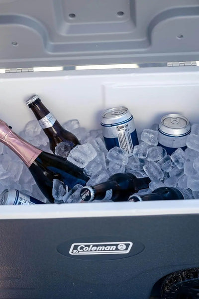 Coleman Daintree 38L Wheeled Hard Cooler - Shop  Hard-sided Coolers at  Trekaline