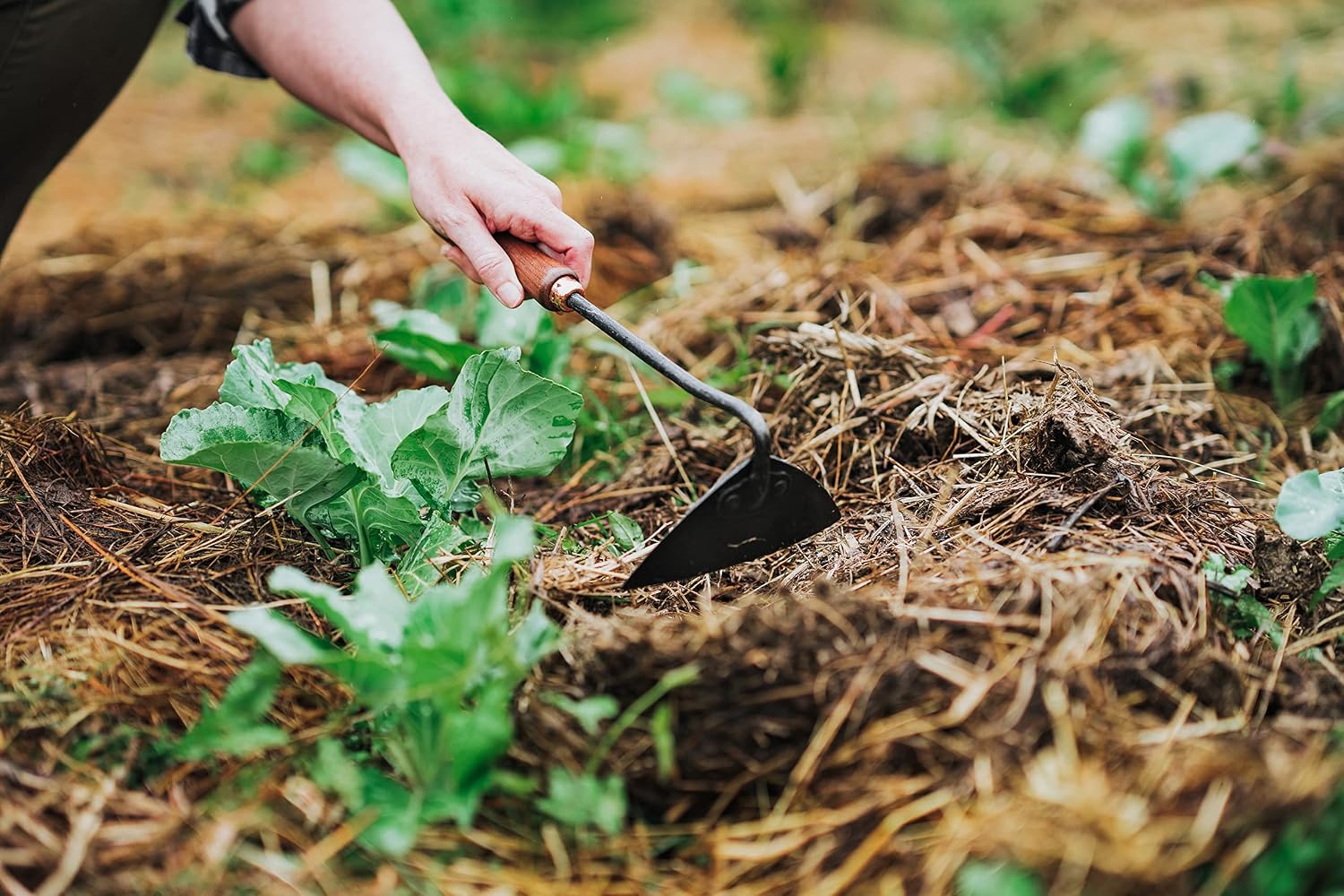 Barebones Triangle Hand Garden Hoe Walnut - Shop  Garden Tools at  Trekaline