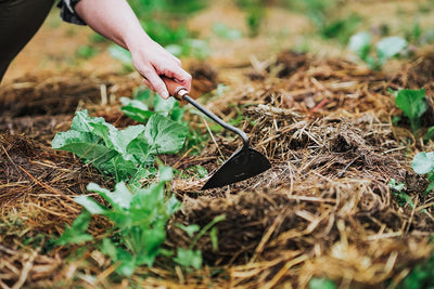 Barebones Triangle Hand Garden Hoe Walnut - Shop  Garden Tools at  Trekaline