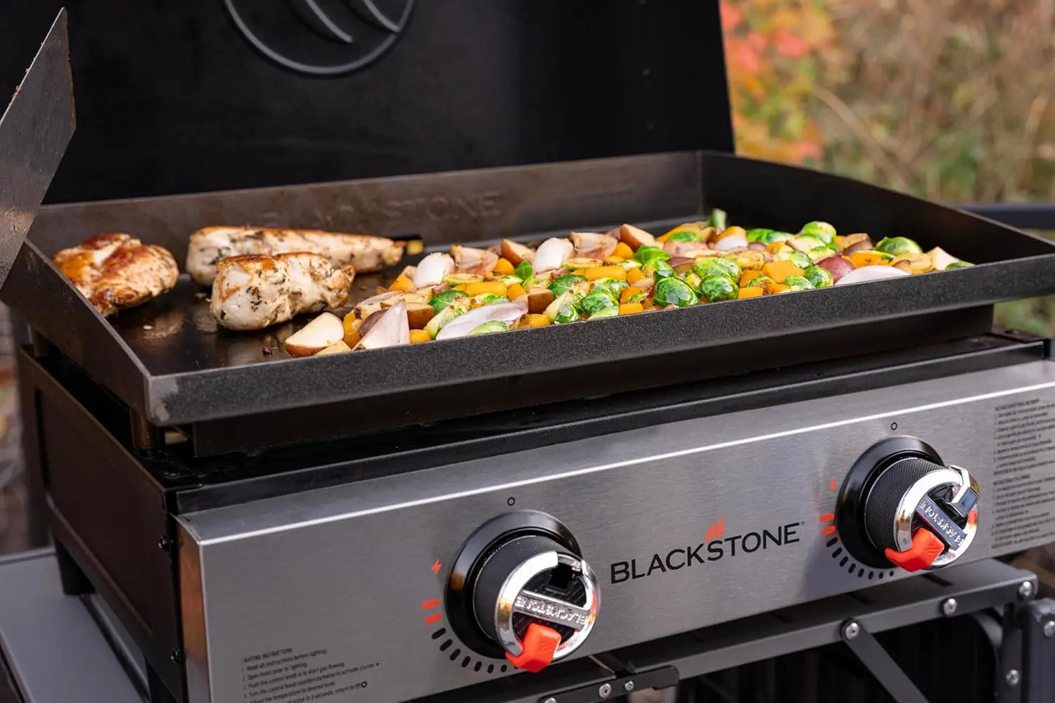 Blackstone 22 Inch Table Top Griddle With Hood - Shop  Griddles at  Trekaline