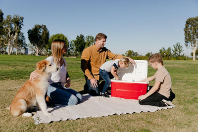 Igloo Laguna 48Qt / 45L Cooler Box - Shop  Hard-sided Coolers at  Trekaline