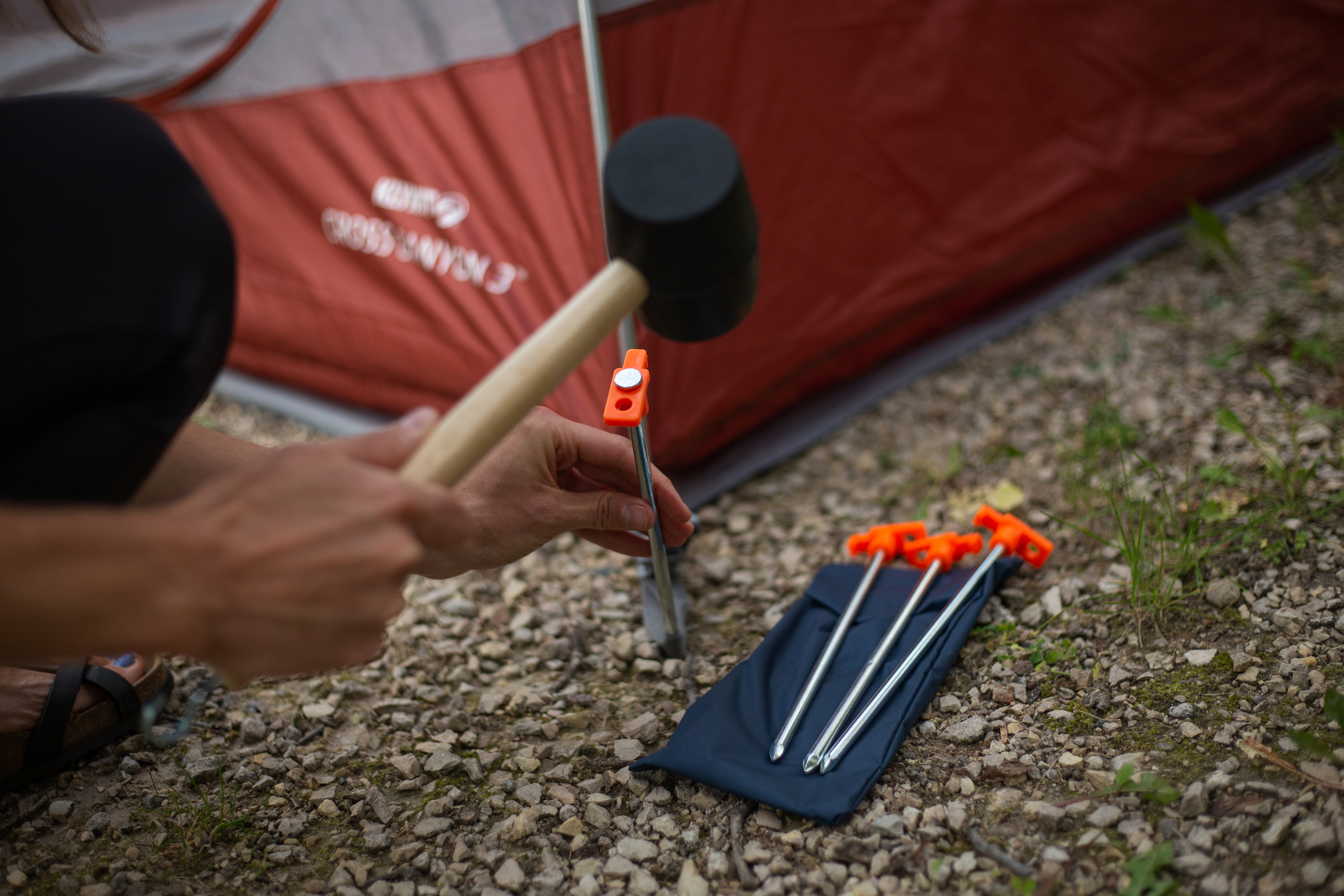 Coghlan's Heavy Duty Nail Pegs 10 Inch - Shop  Tent Stakes at  Trekaline