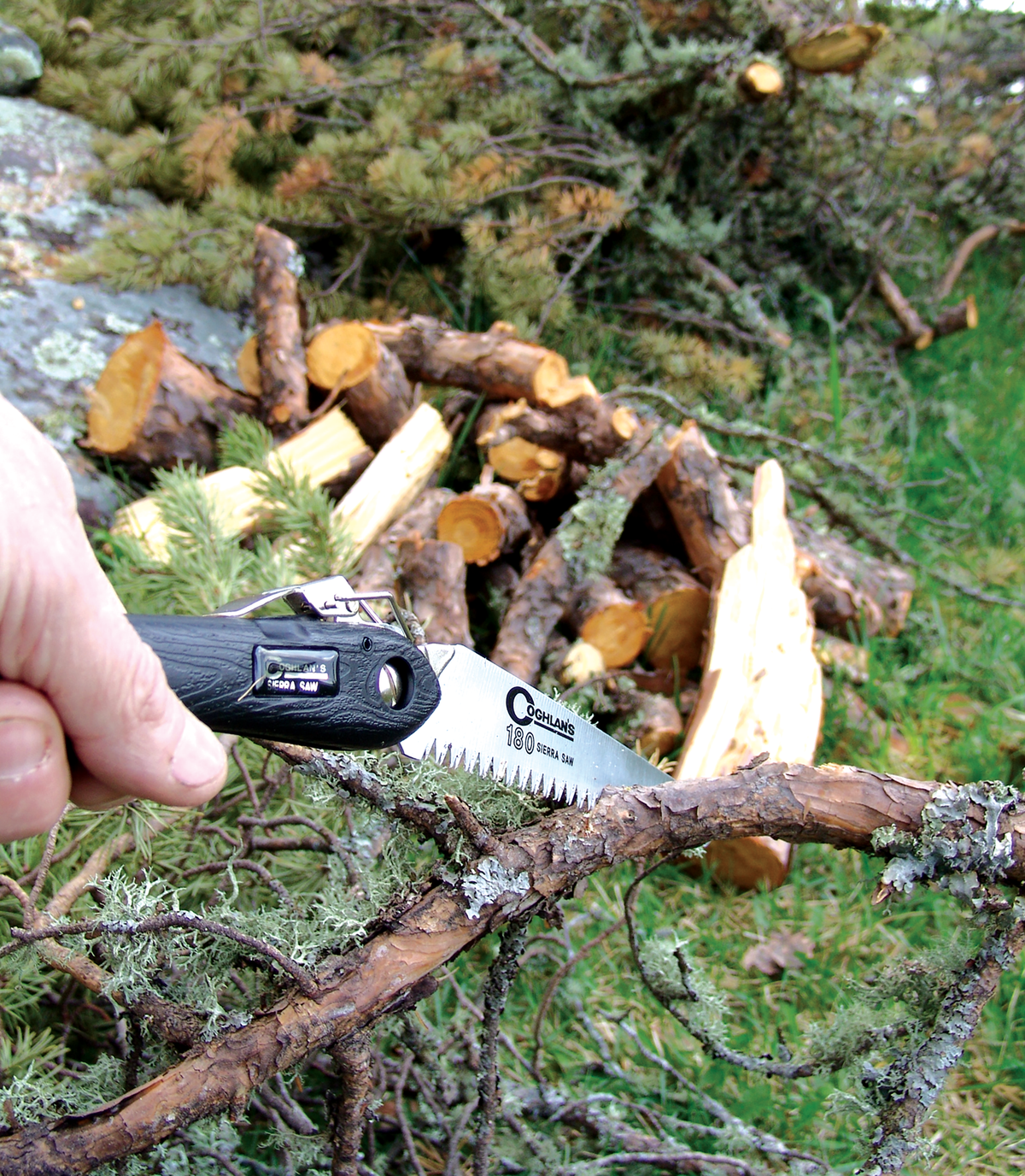 Coghlan's Sierra Folding Camp Saw - Shop  Camp Saws at  Trekaline
