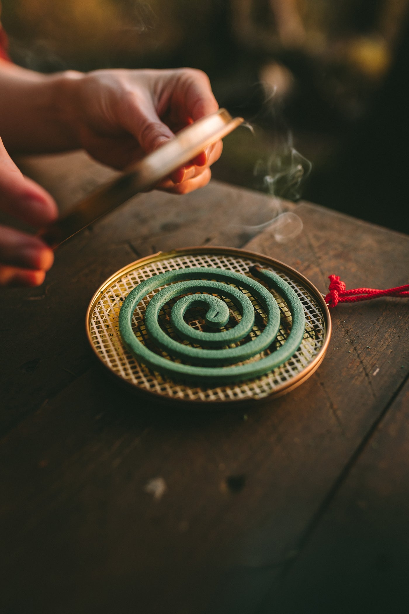 Coghlan's Hanging Mosquito Coil Holder - Shop  Insect Repellent Devices at  Trekaline