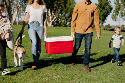 Igloo Laguna Hard Cooler Box 48 Quart - Shop  Hard-sided Coolers at  Trekaline