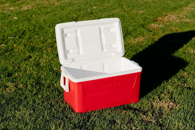 Igloo Laguna 48Qt / 45L Cooler Box - Shop  Hard-sided Coolers at  Trekaline
