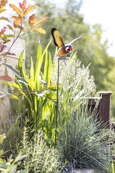 La Hacienda Hanging Goldfinch