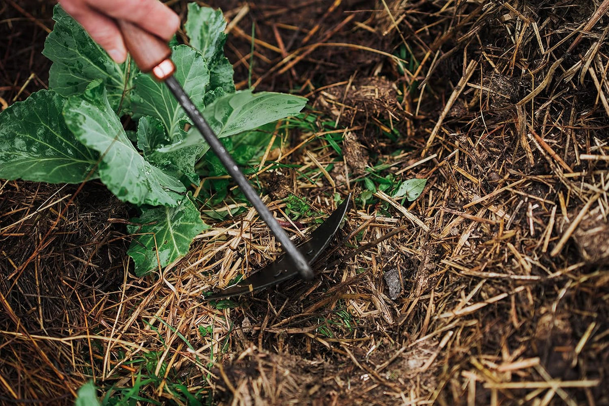 Barebones Triangle Hand Garden Hoe Walnut - Shop  Garden Tools at  Trekaline