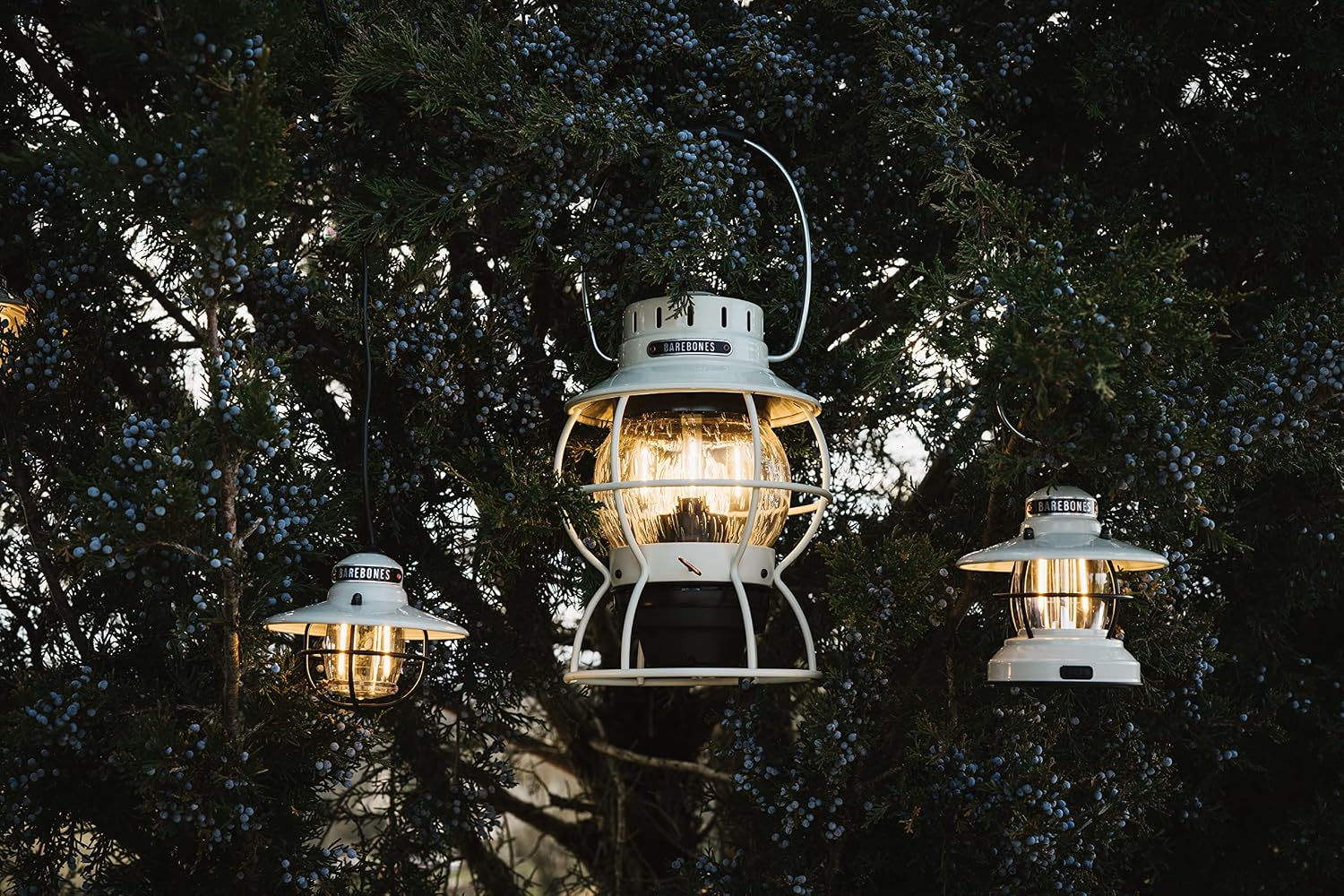 Barebones Edison Pendant Light - Shop  Electric Lanterns at  Trekaline
