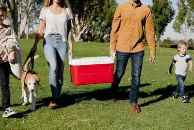 Igloo Laguna 48Qt / 45L Cooler Box - Shop  Hard-sided Coolers at  Trekaline