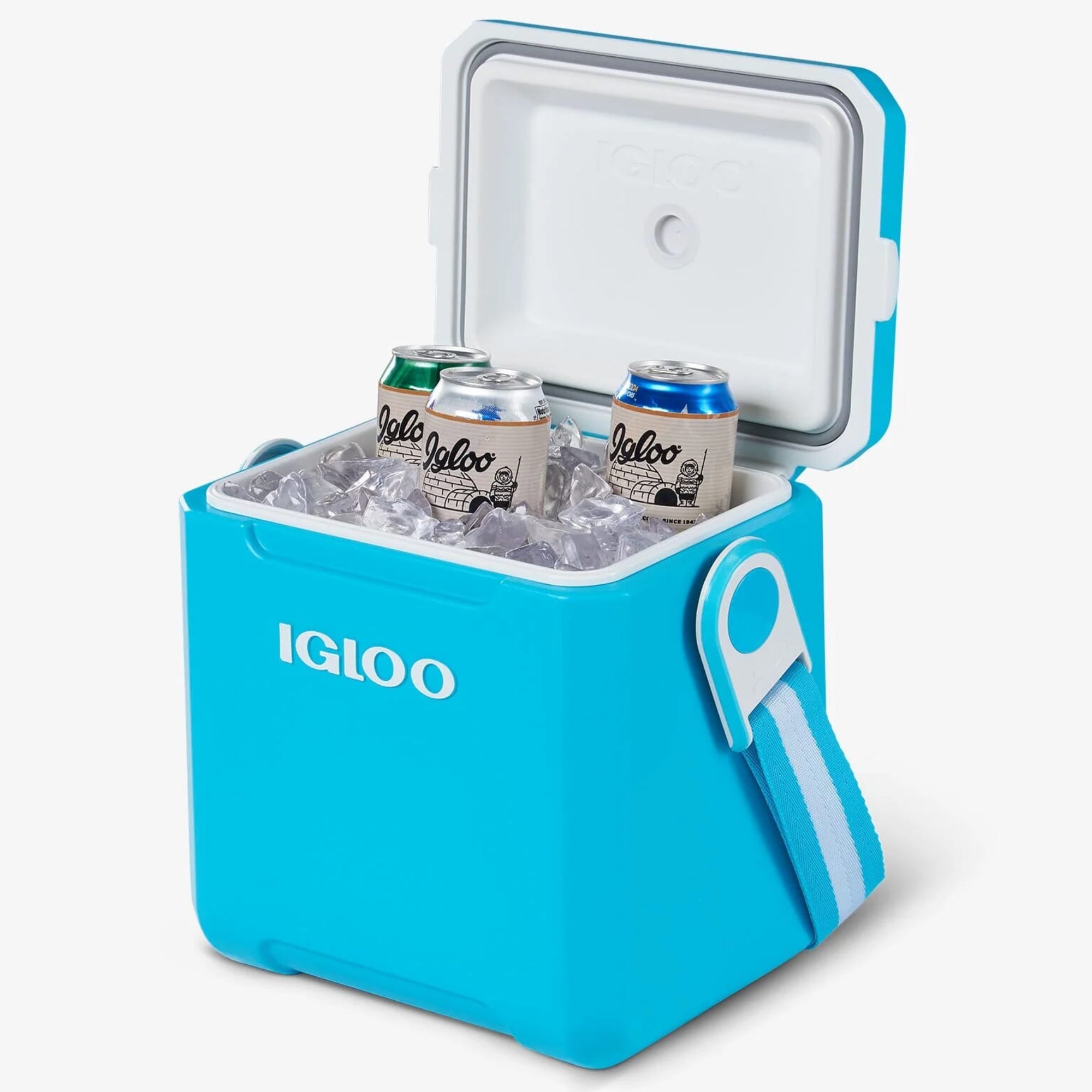 Igloo Tag Along Too Cooler 11 Quart - Shop  Hard-sided Coolers at  Trekaline