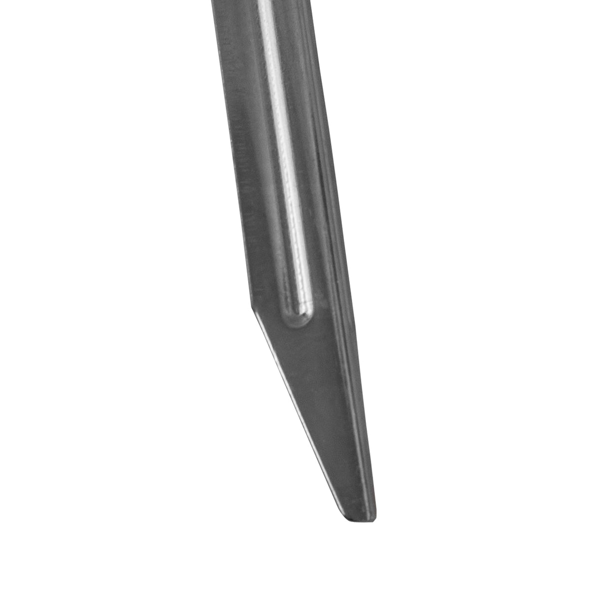Coghlan's Steel Tent Stakes 12 in 4 Pack - Shop  Tent Stakes at  Trekaline