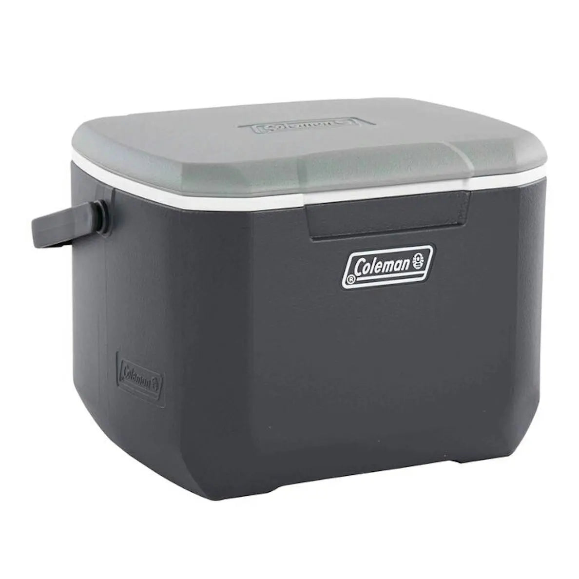 Coleman Daintree 15L Personal Hard Cooler - Shop  Hard-sided Coolers at  Trekaline