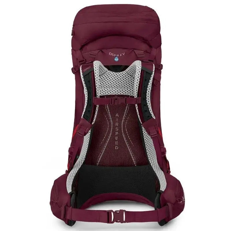Osprey Aura AG LT 50 Backpacking Pack - Women - Shop  Backpacking Packs at  Trekaline