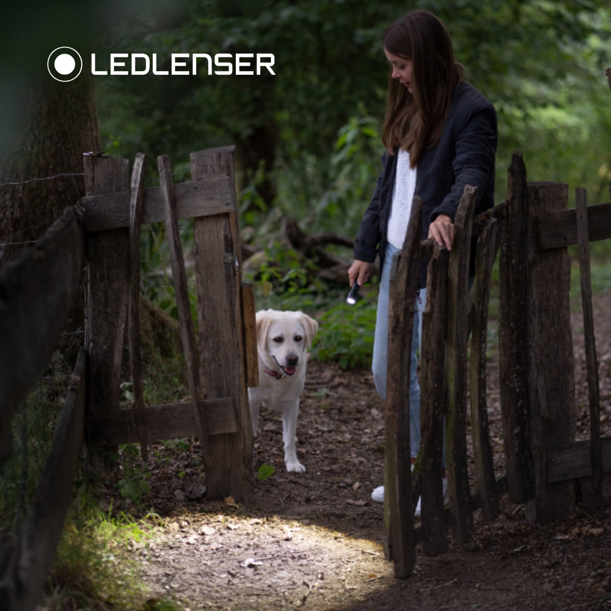 Ledlenser P3 Core Edition Compact Flashlight - Shop  Flashlights at  Trekaline