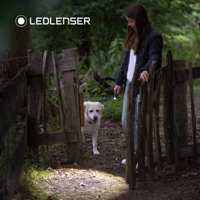 Ledlenser P3 Core Edition Compact Flashlight - Shop  Flashlights at  Trekaline