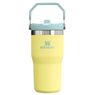 Stanley IceFlow Flip Straw Tumbler - Insulated Cup - 20 oz / 600 ml