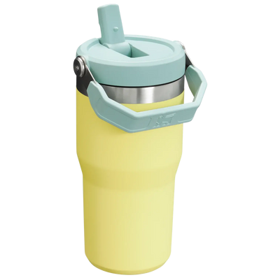 Stanley IceFlow Flip Straw Tumbler - Insulated Cup - 20 oz / 600 ml