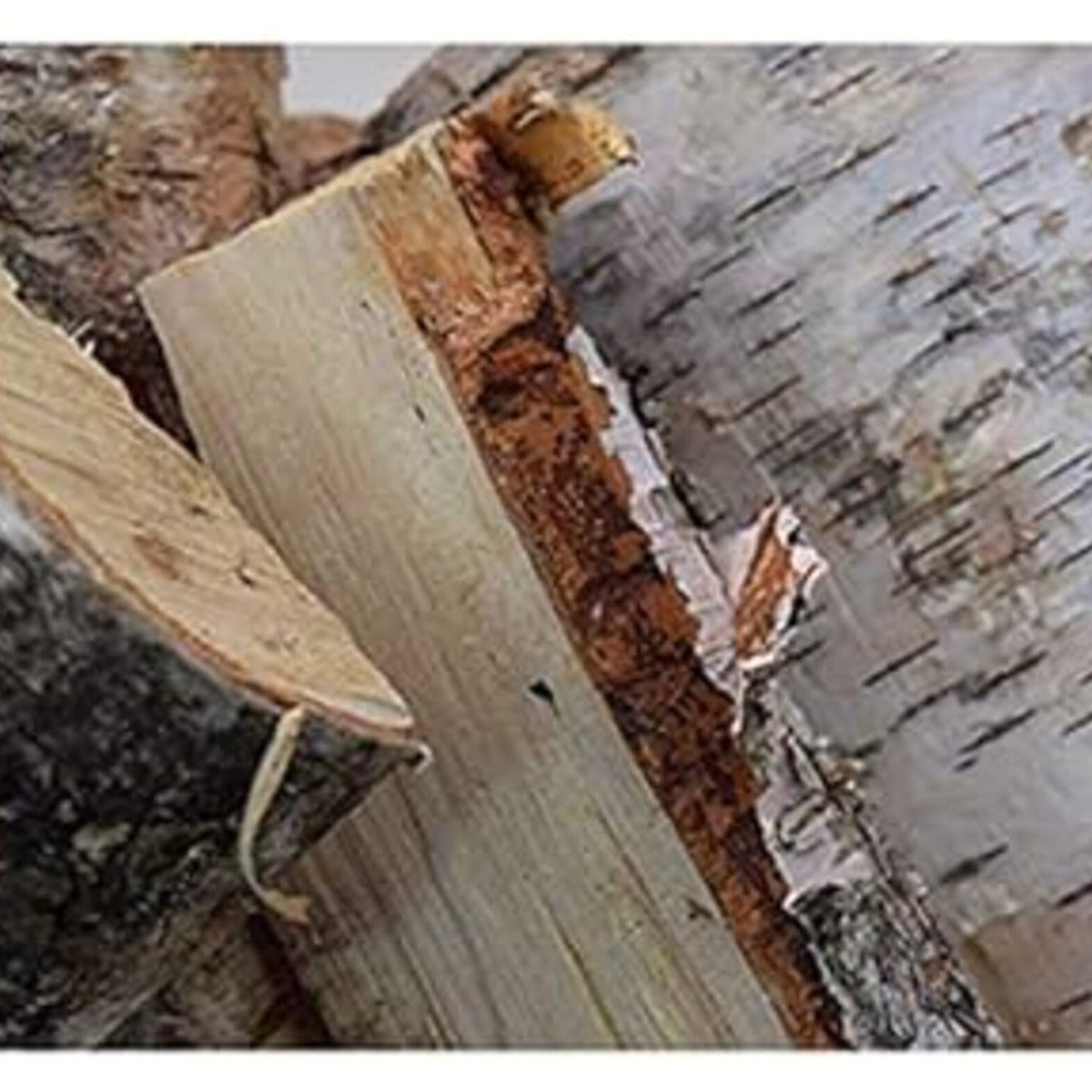 Bad Axe 21L Birch Firewood 9 Kg - Shop  Alternate Fuels at  Trekaline