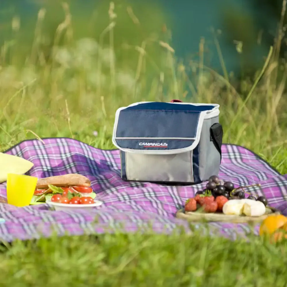 Campingaz Fold'N Cool Cooler Bag on picnic blanket with fruits and sandwiches