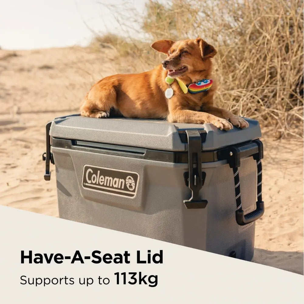 Coleman Convoy 55 Icebox Cooler - Shop  Hard-sided Coolers at  Trekaline