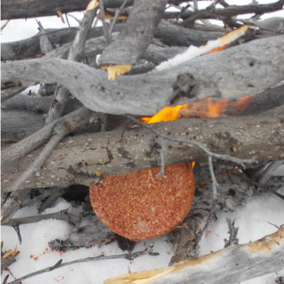 Coghlan's Cedar Fire Disc Starter - Shop  Fire Starters at  Trekaline
