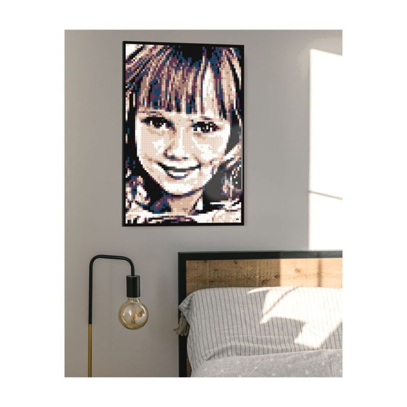 Mozabrick Color Model M Photo Kit - Shop  Puzzles at  Trekaline