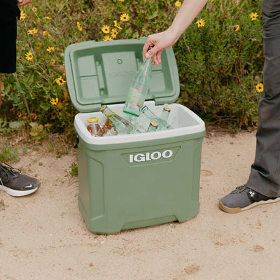 Igloo Ecocool Latitude Hard Cooler Box 30 Quart - Shop  Hard-sided Coolers at  Trekaline