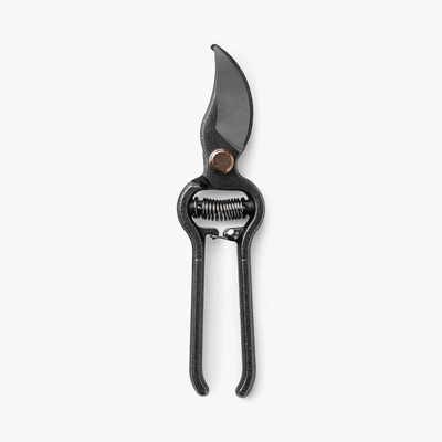 Barebones Japanese Style Garden Pruner - Shop  Garden Tools at  Trekaline