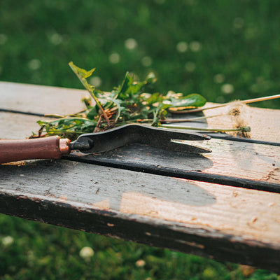 Dandelion Weeding Fork - Shop  Garden Tools at  Trekaline