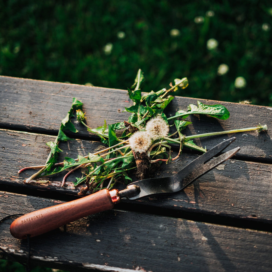 Dandelion Weeding Fork - Shop  Garden Tools at  Trekaline