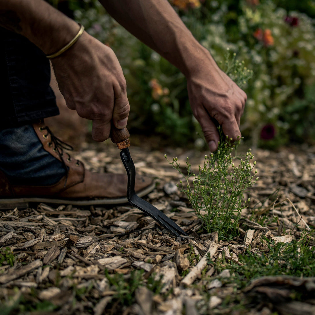 Dandelion Weeding Fork - Shop  Garden Tools at  Trekaline