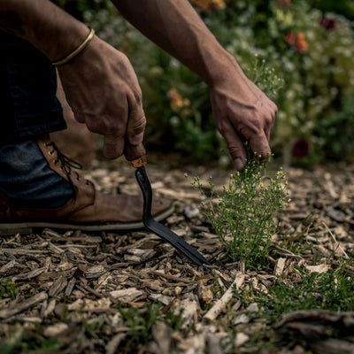 Dandelion Weeding Fork - Shop  Garden Tools at  Trekaline