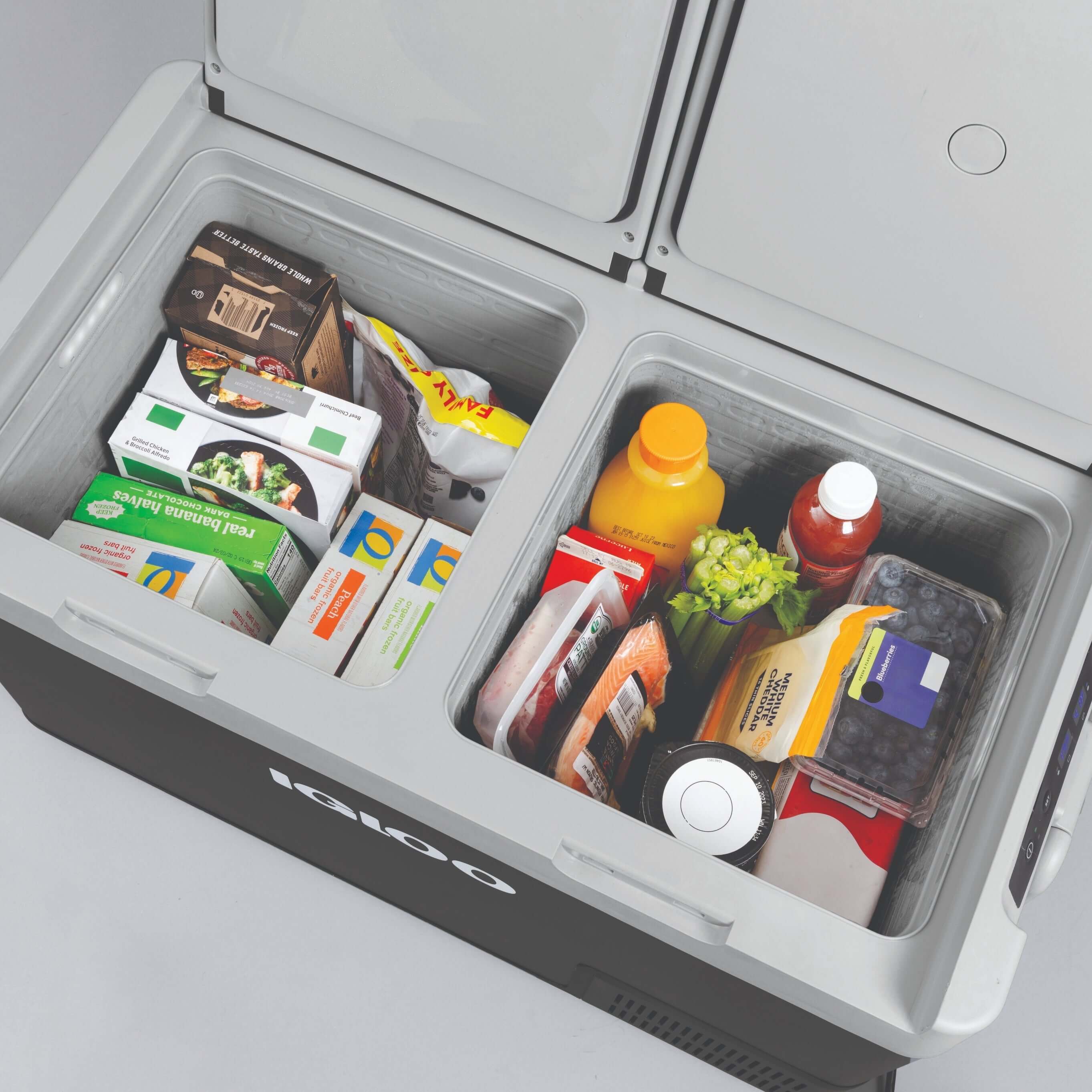 Igloo ICF 80DZ - Shop  Hard-sided Coolers at  Trekaline