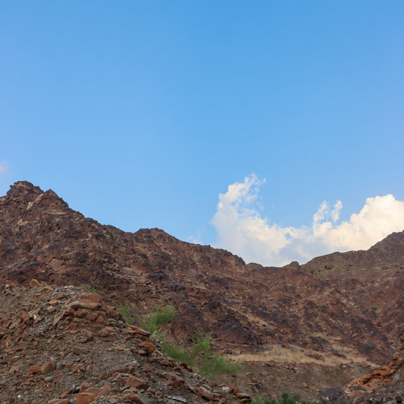 Wadi Al Abadilah Hike - Shop  Hiking Adventures at  Trekaline