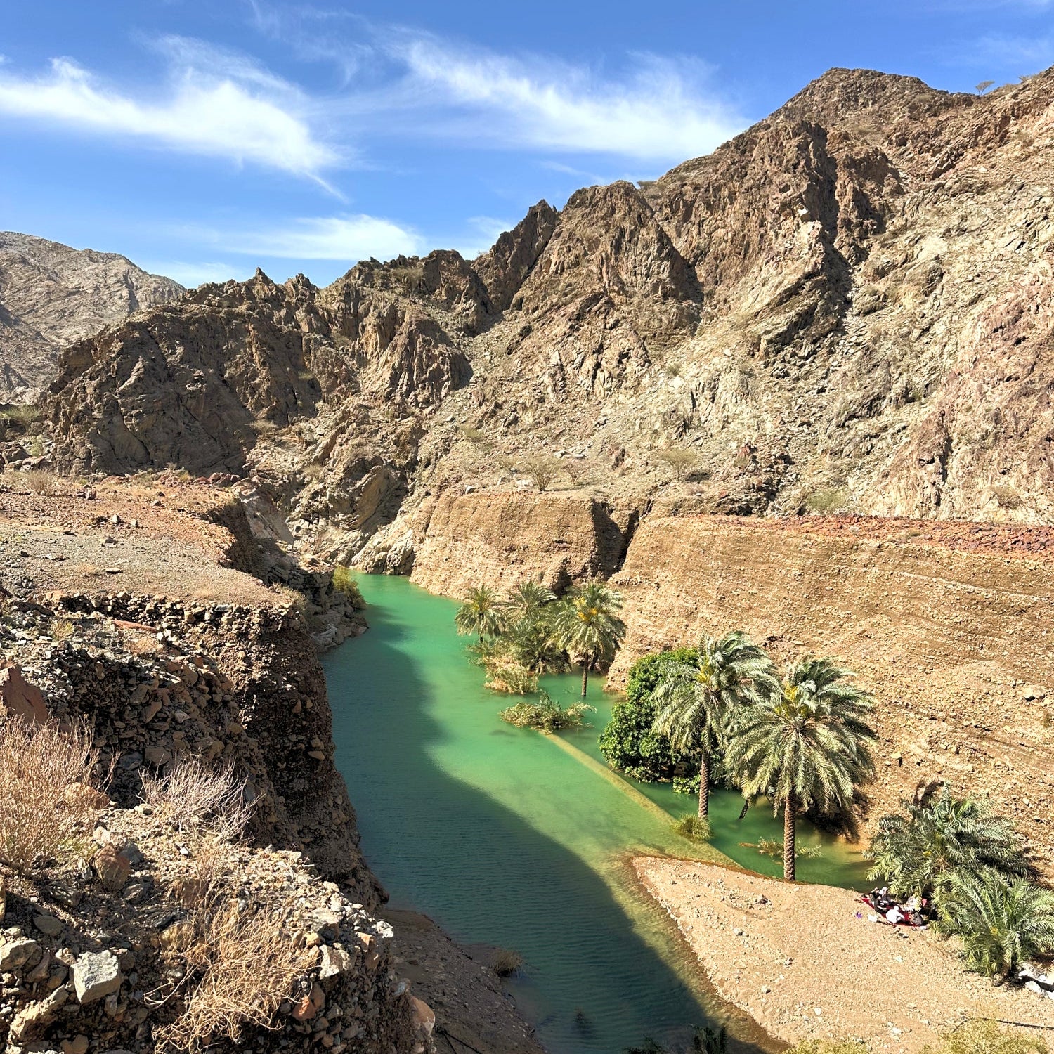 A scenic landscape photograph of a deep canyon with a bright turquoise river running through it, flanked by steep rocky mountains and dotted with palm trees under a blue sky.