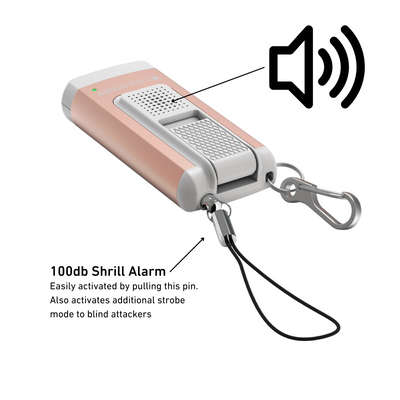 Ledlenser K6R Keyring Rechargeable Flashlight - Shop  Flashlights at  Trekaline