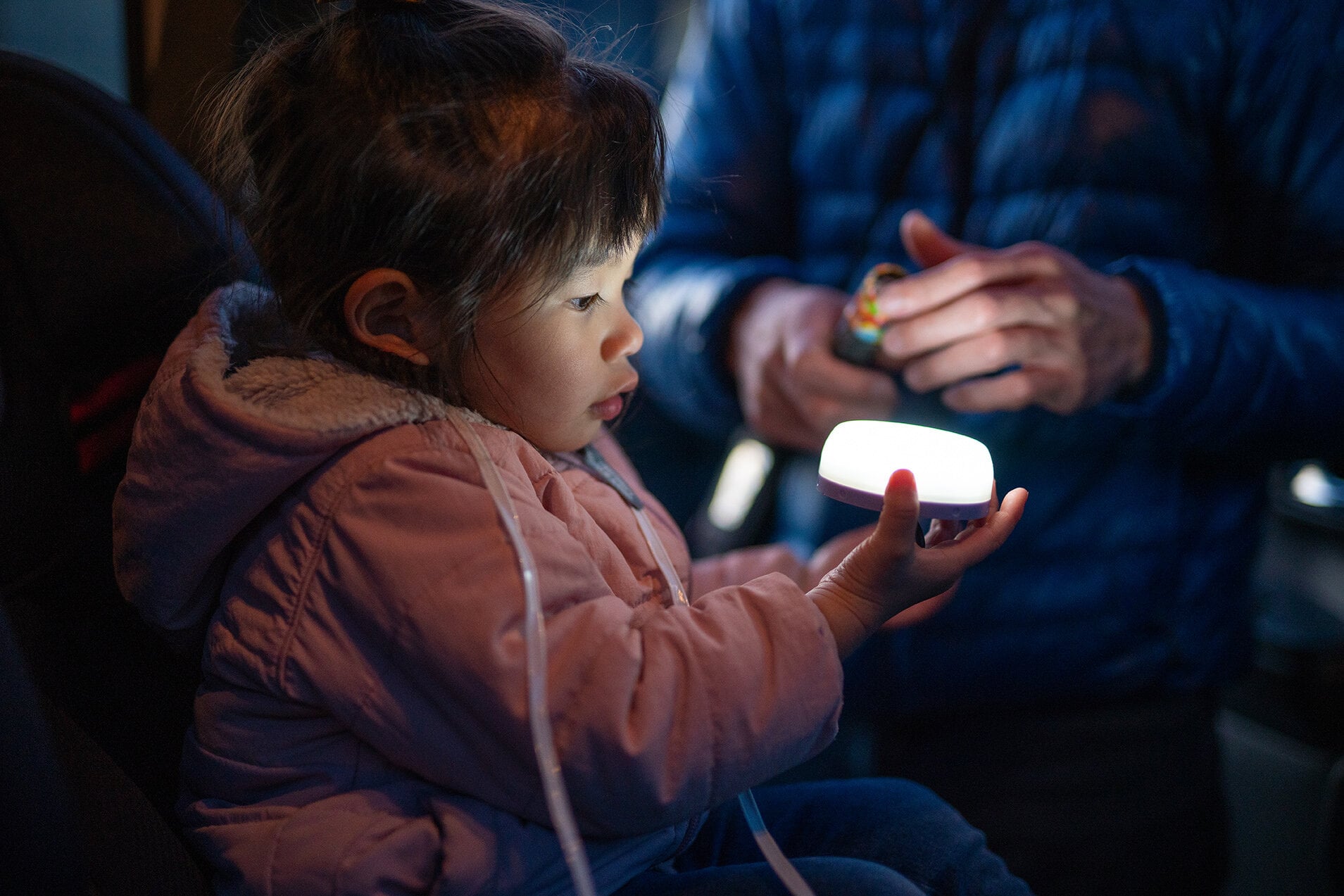 Ledlenser Kidcamp6 Camping Lantern - Shop  Electric Lanterns at  Trekaline
