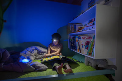 Ledlenser Kidcamp6 Camping Lantern - Shop  Electric Lanterns at  Trekaline