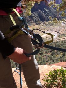 Edelrid Mega JUL Belay Device Descender