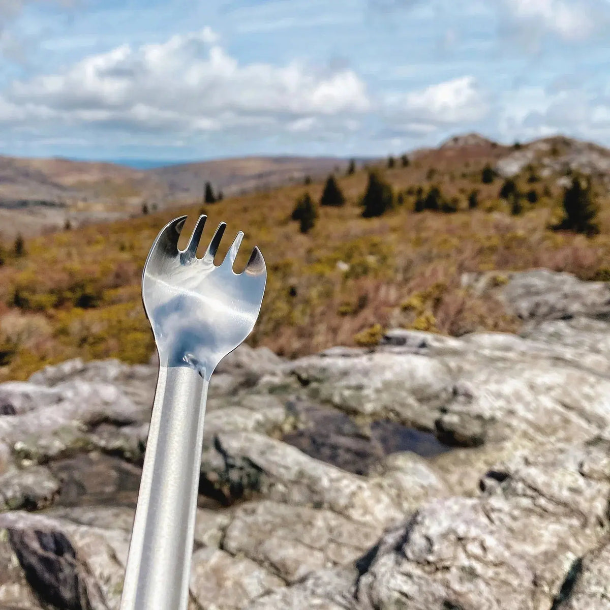Close up of the SilverAnt Long Handle Titanium Spork spoon and fork bowl