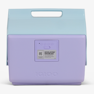 Igloo Playmate Classic KoolTunes Boombox Cooler 14 Quart - Shop  Hard-sided Coolers at  Trekaline