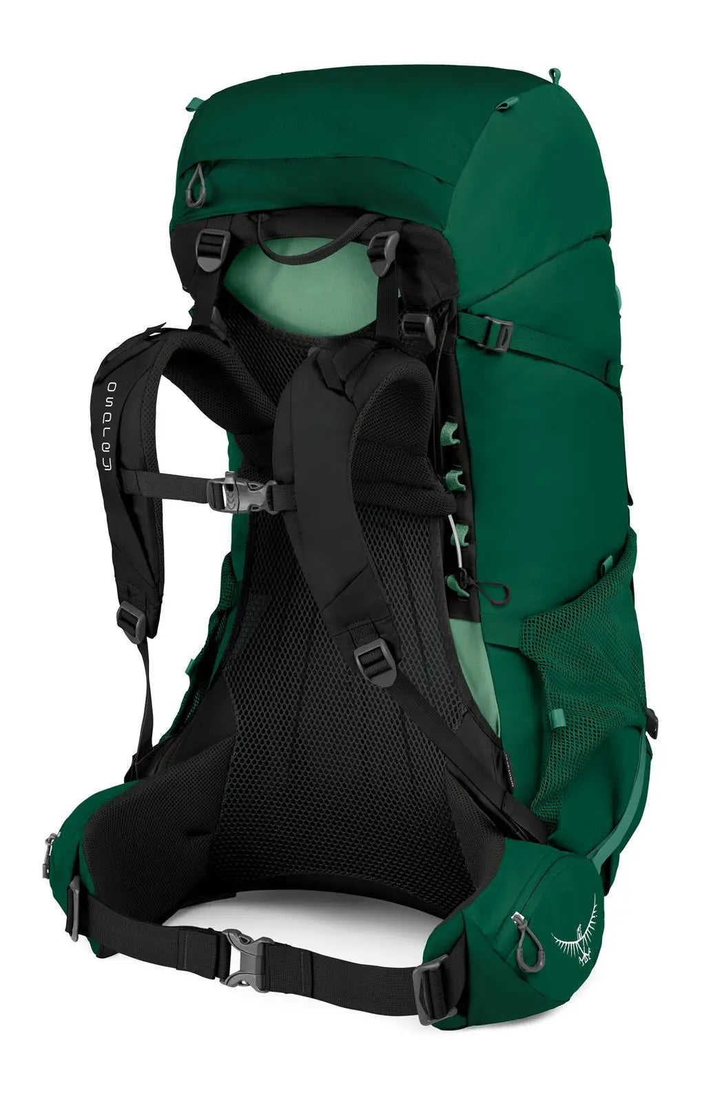 Osprey Rook 65 Backpacking Pack - Men - Shop  Backpacking Packs at  Trekaline