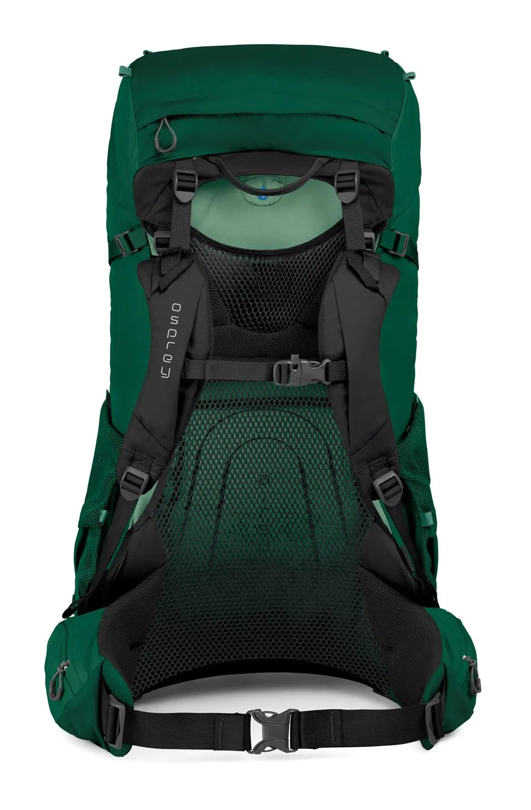 Osprey Rook 65 Backpacking Pack - Men - Shop  Backpacking Packs at  Trekaline