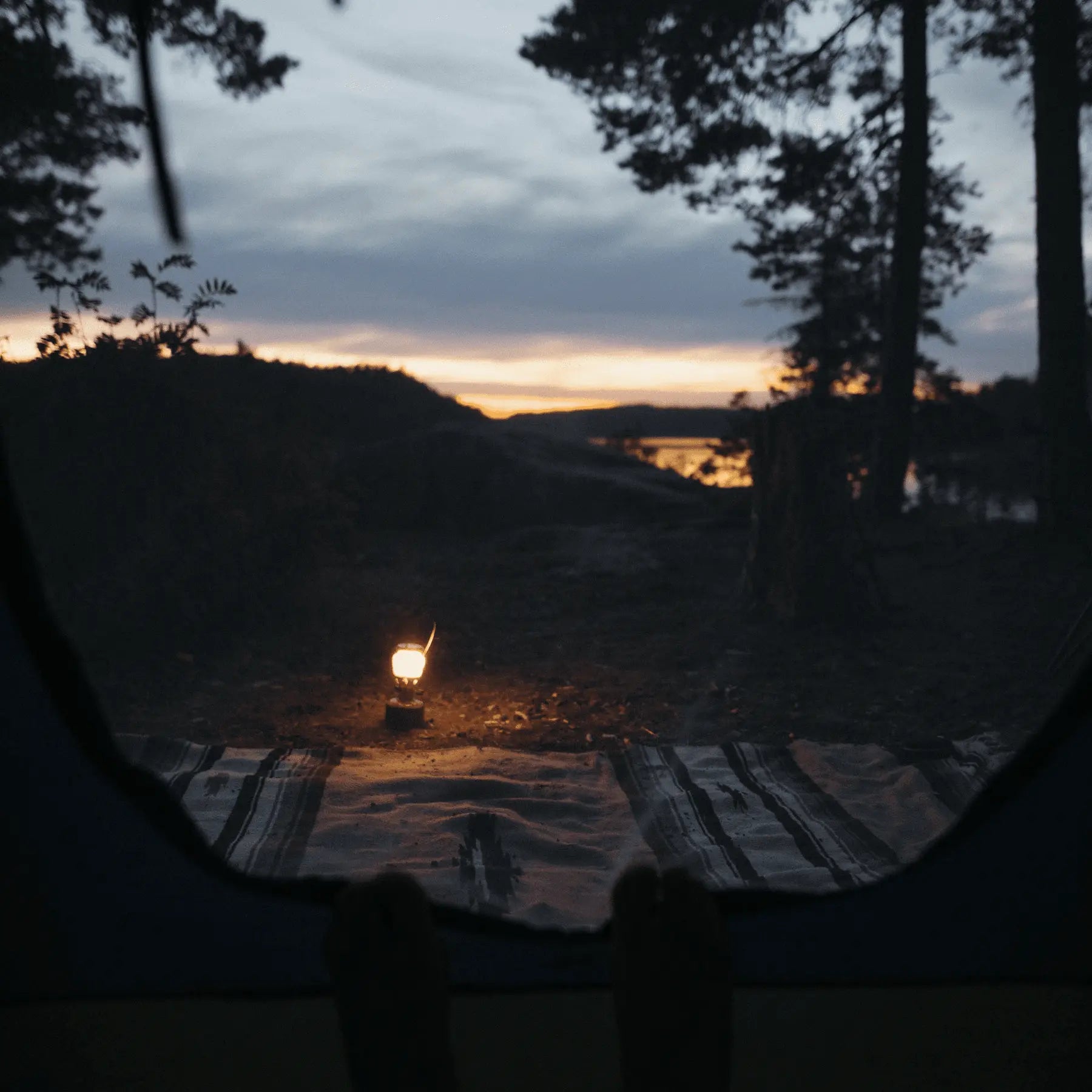 Primus EasyLight Portable Lantern - Shop  Fuel-Powered Lanterns at  Trekaline