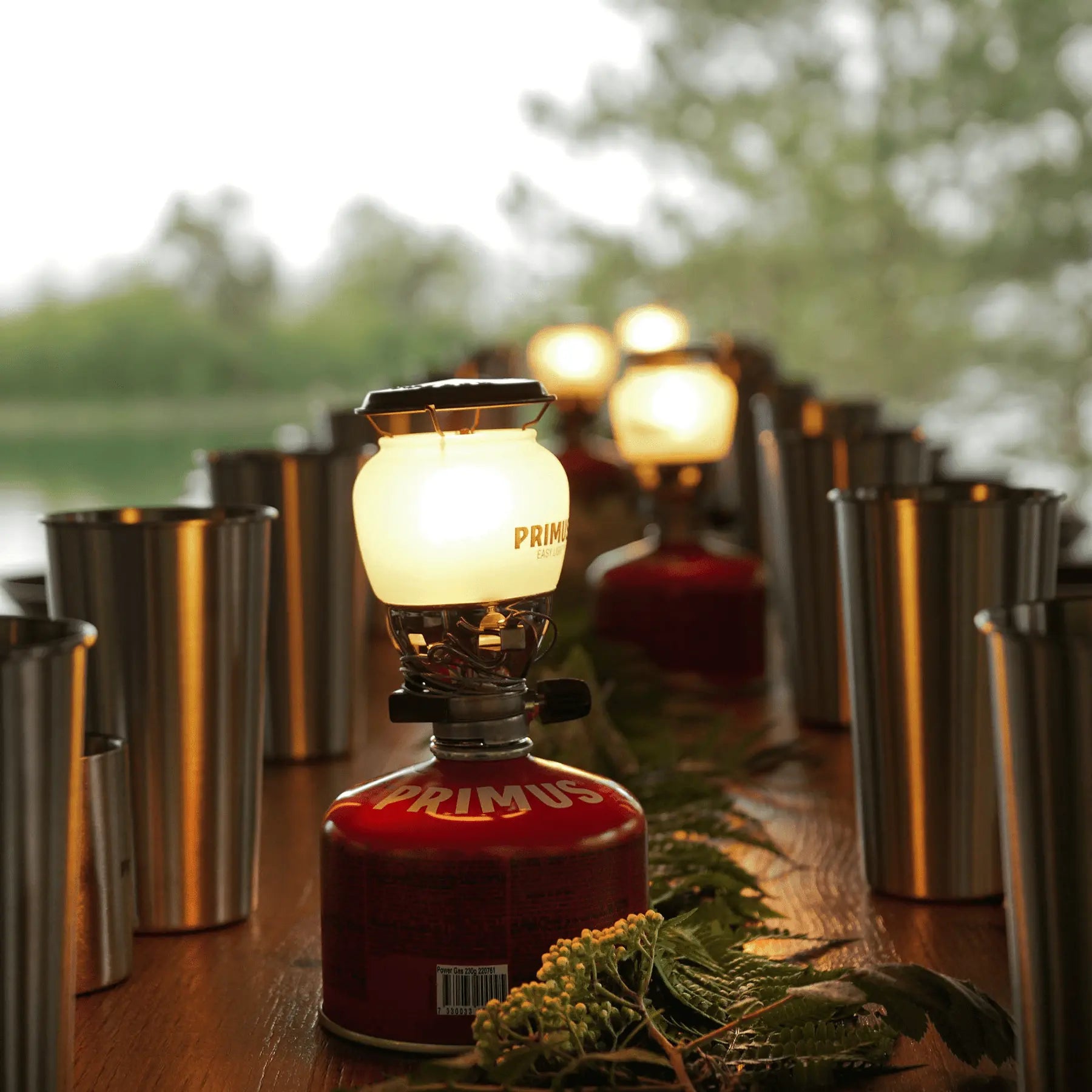 Primus EasyLight Portable Lantern - Shop  Fuel-Powered Lanterns at  Trekaline