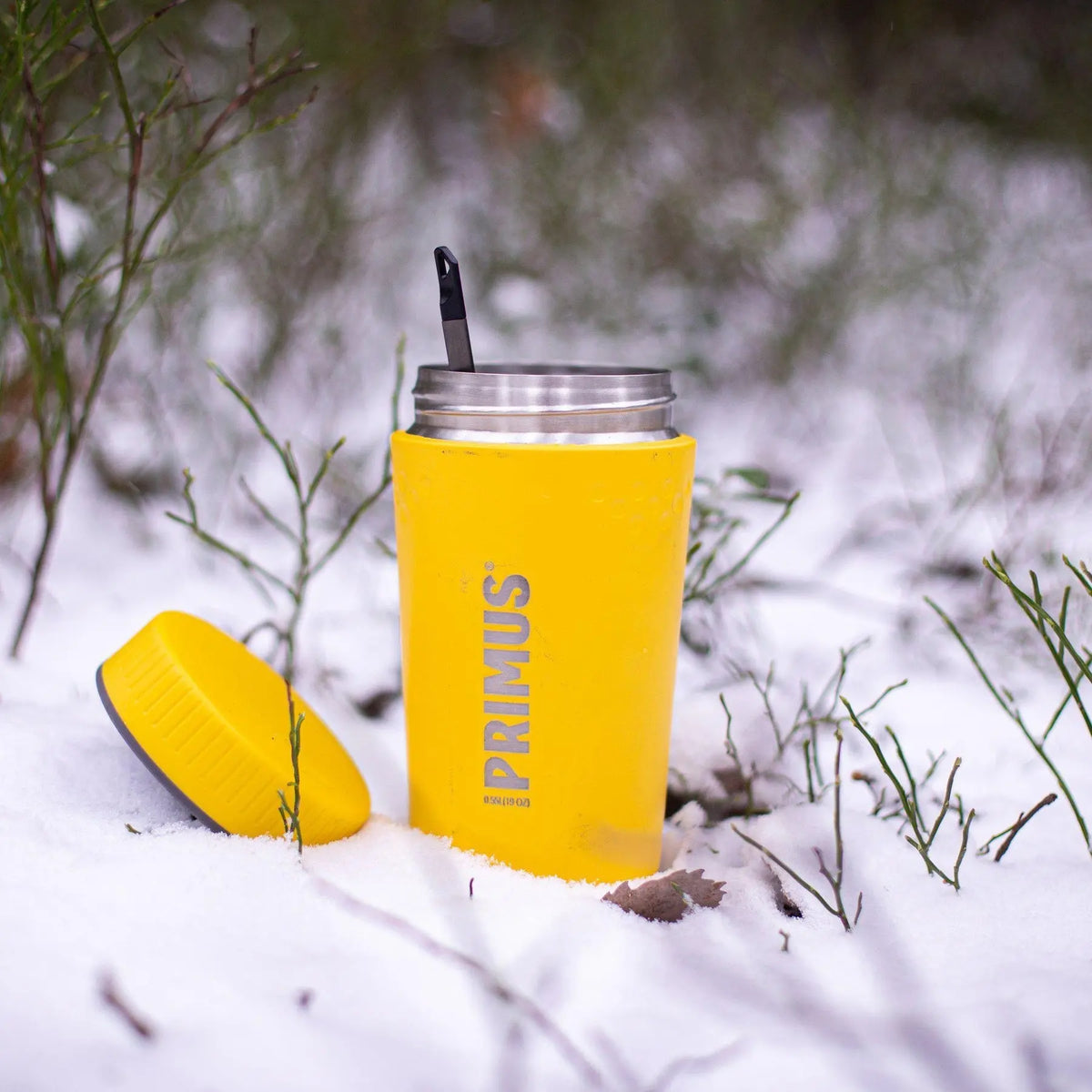 Primus TrailBreak Lunch Jug 0.55L - Shop  Food Storage Containers at  Trekaline