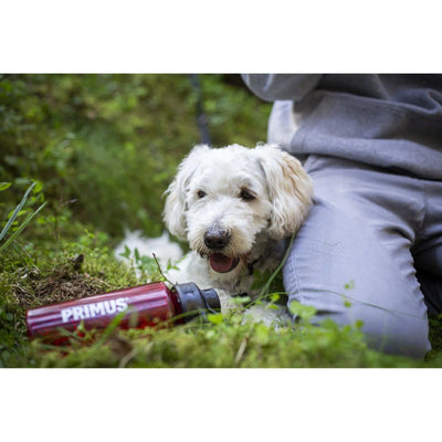 Primus TrailBottle Tritan 1L - Shop  Water Bottles at  Trekaline