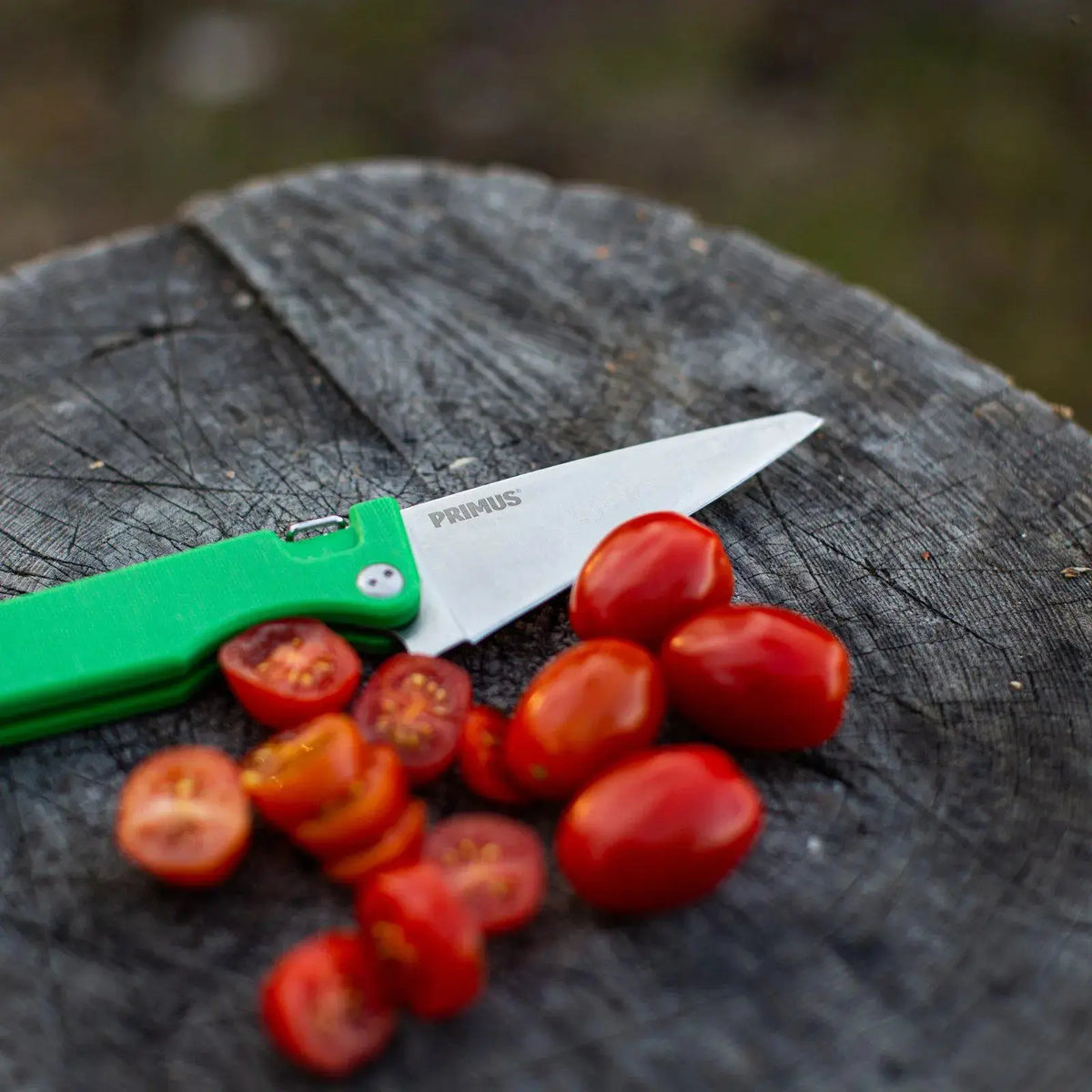 Primus FieldChef Pocket Knife Folding Blade - Shop  Camping Knives at  Trekaline